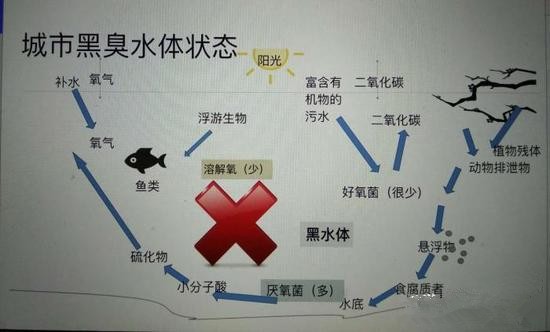 江蘇億元投資治污新技術(shù) 石墨烯能否治理黑臭水體？