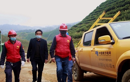 平塘供電局：“加減法”同構(gòu)服務，護航“貴州春茶第一壺”