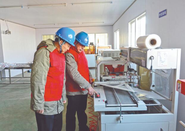 濱?？h供電公司：白首烏產業(yè)發(fā)展充上“滿格電”