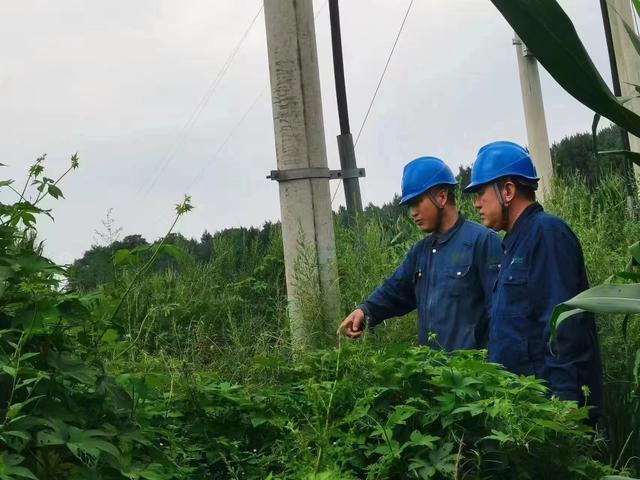 國網(wǎng)長春供電公司積極應對極端天氣，確保線路設備穩(wěn)定運行