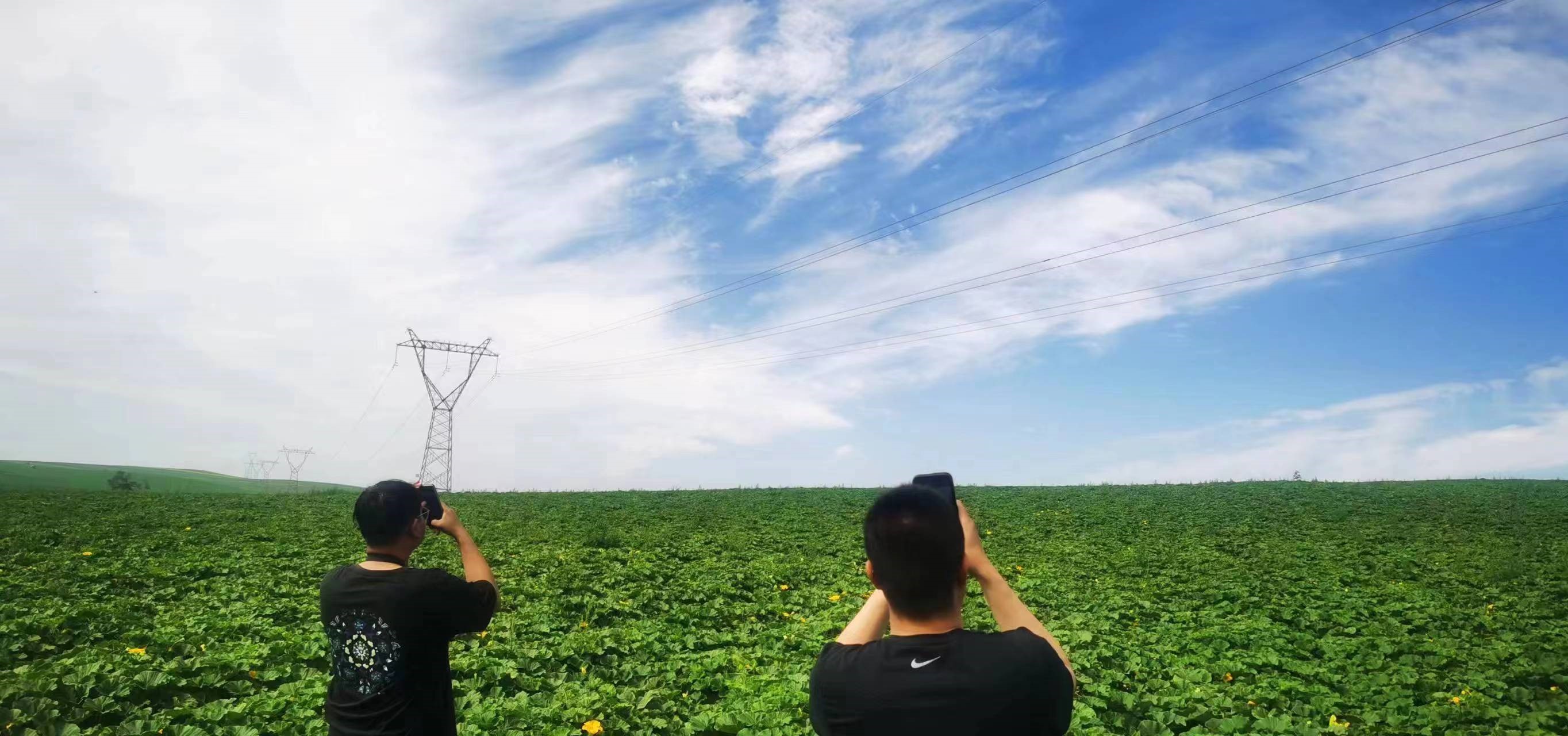 四子王輸變電管理處：防外力破壞，助安全運(yùn)行