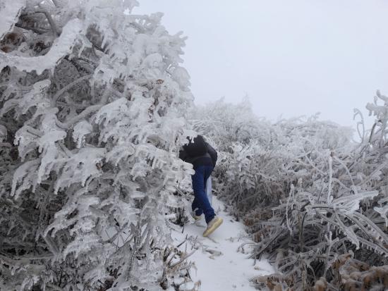 【新春走基層】迎雪而上攻堅行，奮戰(zhàn)不息護光明