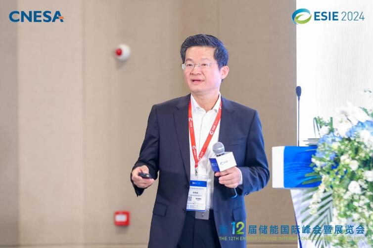 林澤波：儲能企業(yè)出海不是價格競爭，而是以定制優(yōu)質(zhì)產(chǎn)品和服務實現(xiàn)可持續(xù)發(fā)展