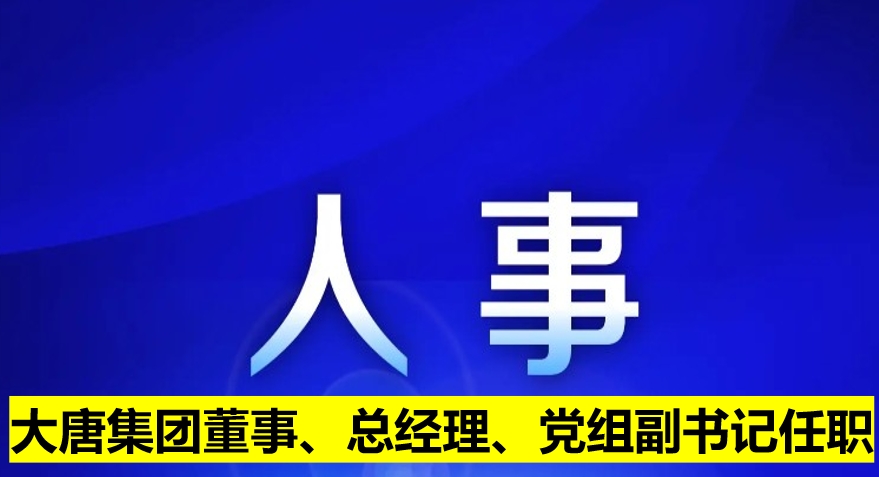 大唐集團董事、總經(jīng)理、黨組副書記任職